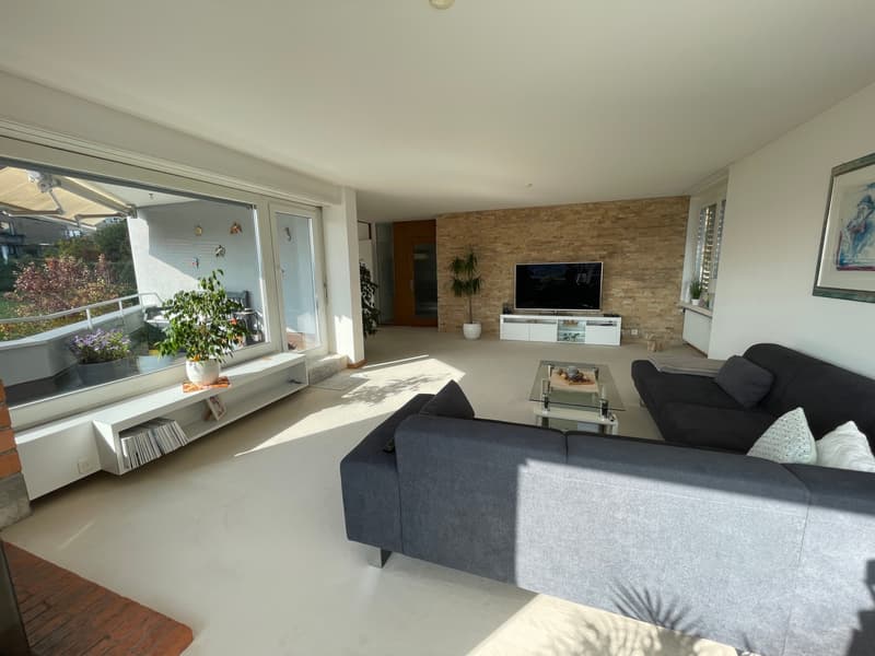 Appartamento esclusivo con terrazza e vista mozzafiato su Adliswil (5)