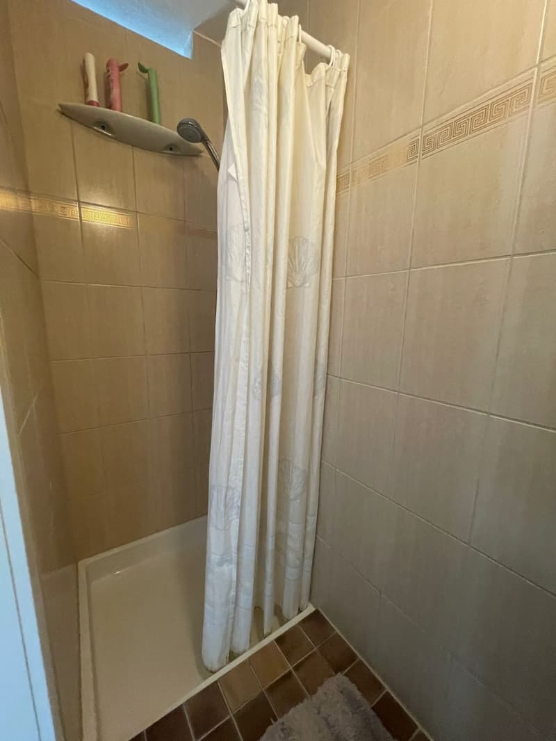 Appartamento esclusivo con terrazza e vista mozzafiato su Adliswil (7)