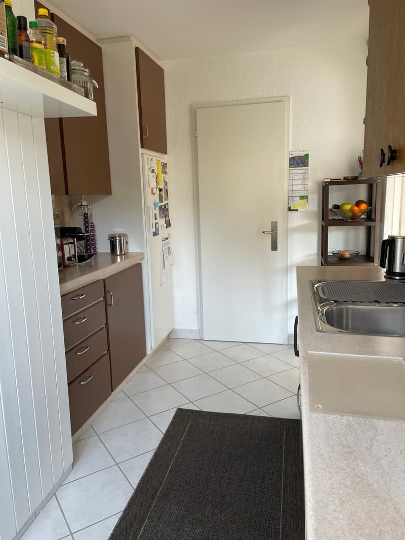 Appartamento esclusivo con terrazza e vista mozzafiato su Adliswil (2)