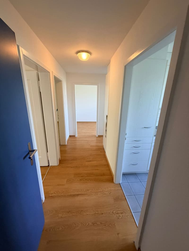 Appartamento di 3 camere in affitto in una posizione tranquilla (2)