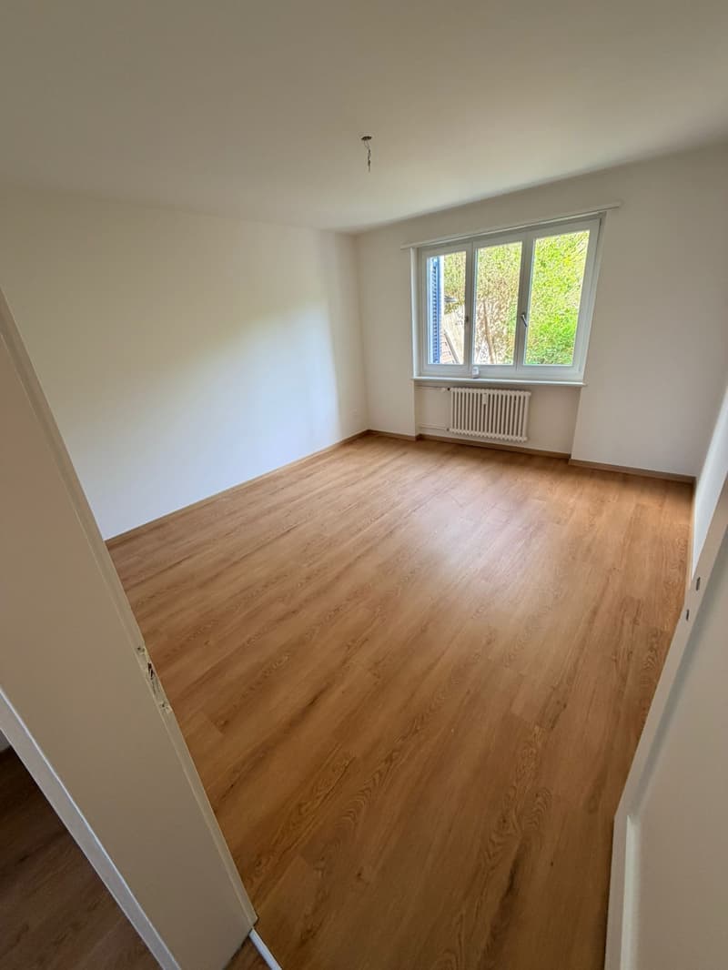 Appartamento di 3 camere in affitto in una posizione tranquilla (3)
