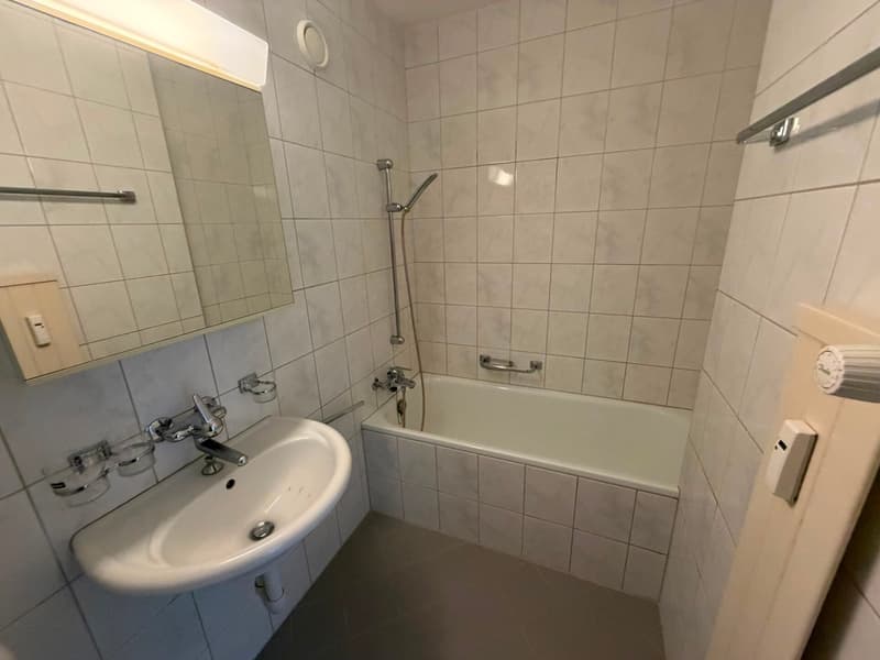 Spacious 2.5-room apartment for limited rental until 31.03.2027 (7)