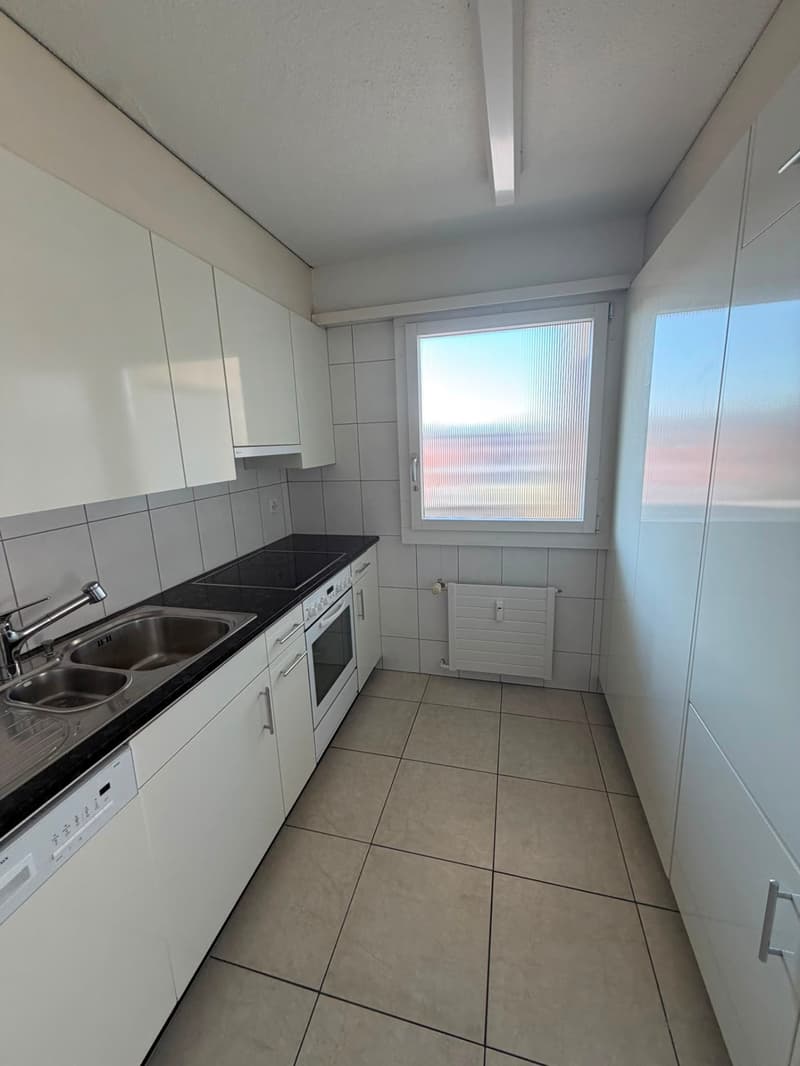 Spacious 4.5-room apartment for limited rental until 31.03.2027 (9)