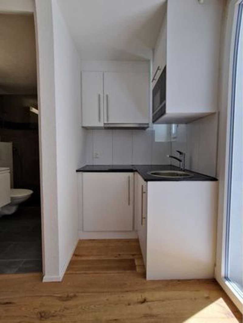 Unique studio in Chur! (4)