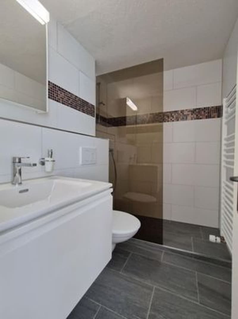 Unique studio in Chur! (5)