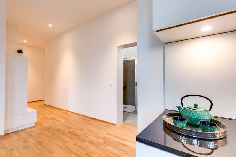 Modern, bright apartment in an ideal location (4)