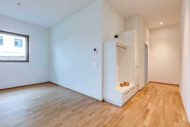 Modern, bright apartment in an ideal location (6)