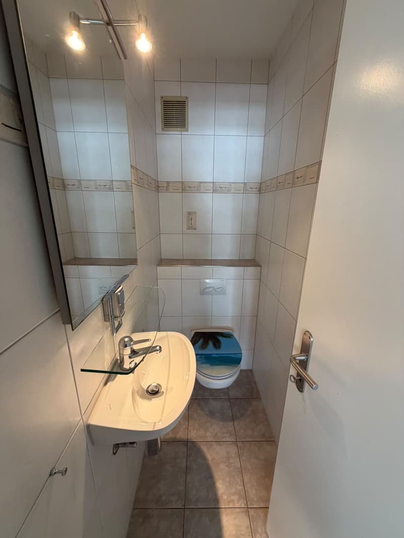 Grosszügige 4.5-Zimmer-Wohnung zur befristeten Miete bis 31.08.2027 (2)