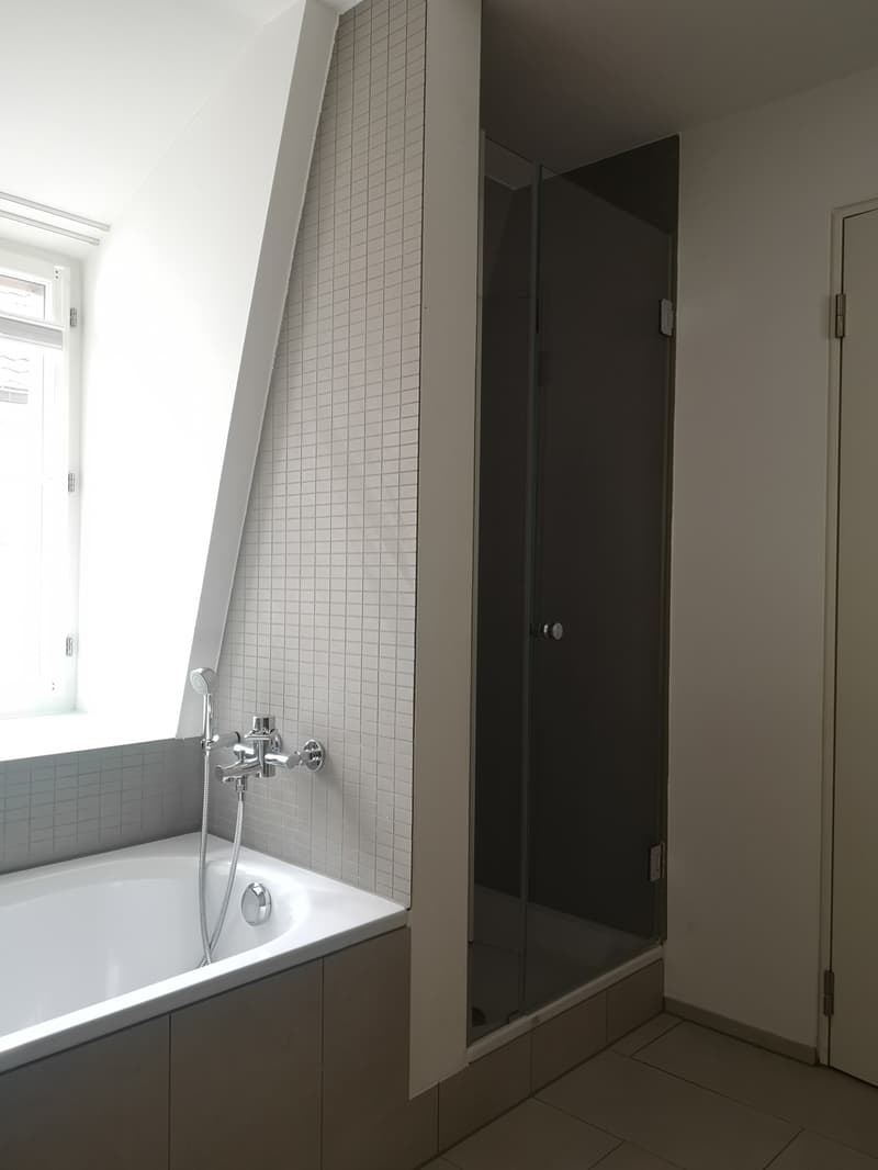 Einmalige, charmante Wohnung mit Dachterrasse im Herzen von Zürich (9)