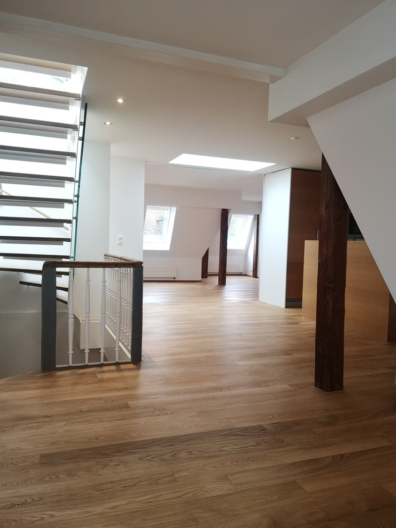Einmalige, charmante Wohnung mit Dachterrasse im Herzen von Zürich (7)