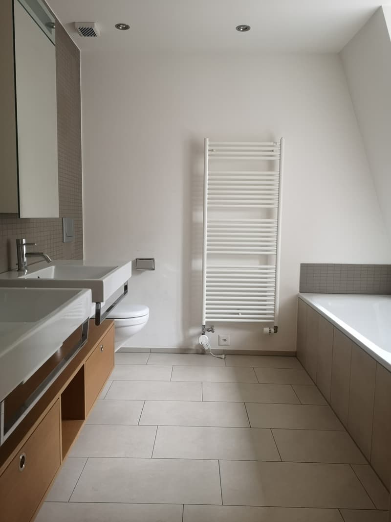 Einmalige, charmante Wohnung mit Dachterrasse im Herzen von Zürich (8)
