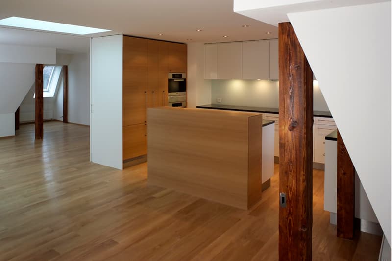 Einmalige, charmante Wohnung mit Dachterrasse im Herzen von Zürich (3)