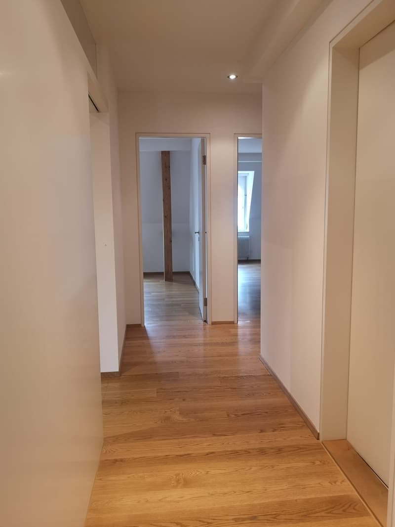 Einmalige, charmante Wohnung mit Dachterrasse im Herzen von Zürich (5)
