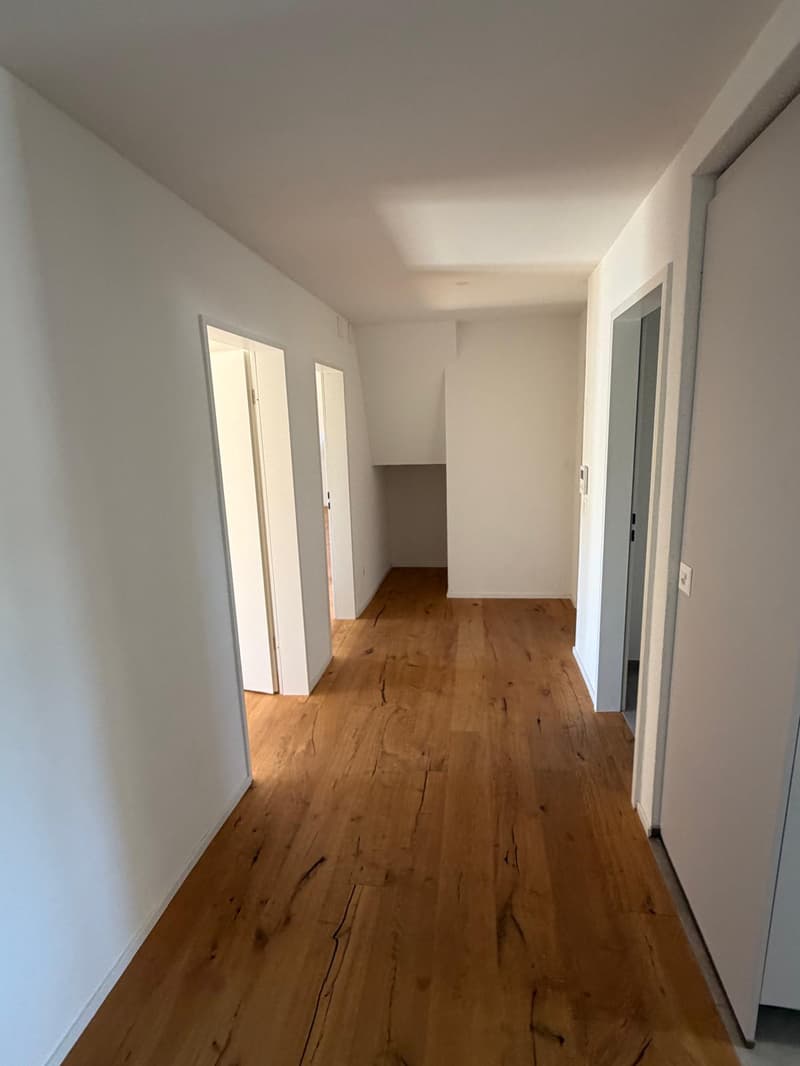 Attraktive 3.5-Zimmer-Wohnung mit zusätzlicher Dachgeschosswohnung (1)