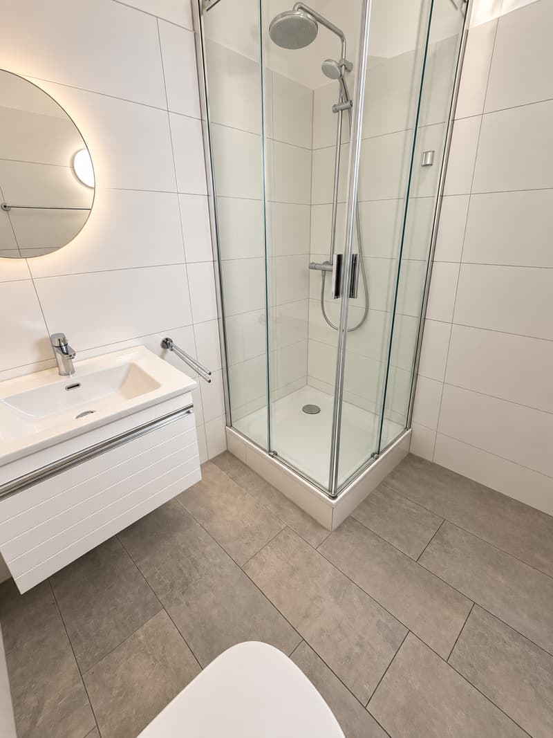Attraktive 3.5-Zimmer-Wohnung mit zusätzlicher Dachgeschosswohnung (6)