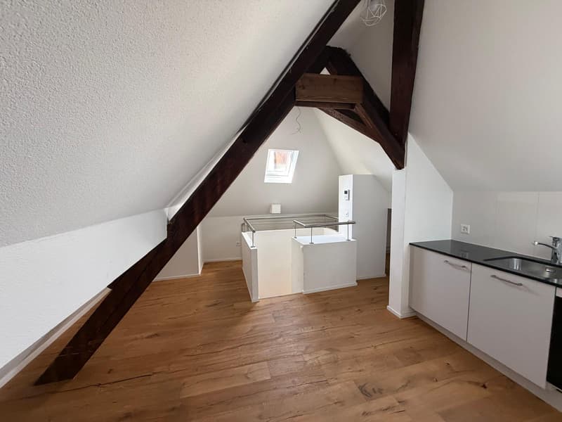 2 in 1: 3.5-Zimmer-Wohnung mit eigener Dachgeschosswohnung (3)