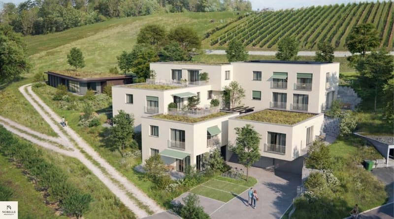 Sonnig, modern und hochwertig – 2.5 Zimmer Wohnung mit unverbaubarer Aussicht (6)