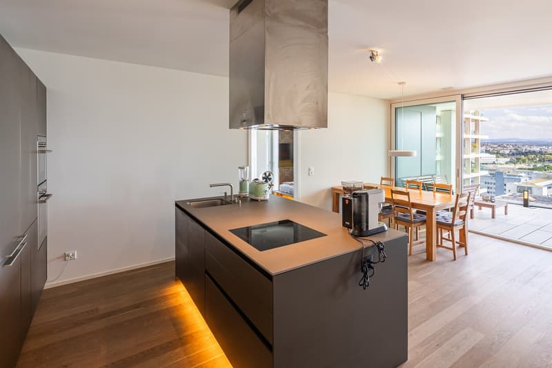 Appartamento esclusivo 2 camere con vista panoramica sui tetti di Zurigo (3)