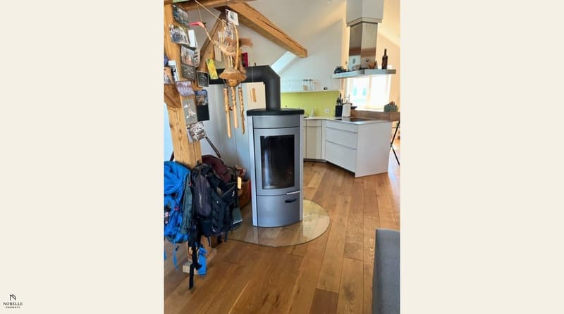 Appartement en mansarde charmant avec poêle suédois et vue sur le vert (4)