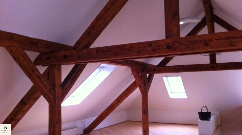 Appartement en mansarde charmant avec poêle suédois et vue sur le vert (6)