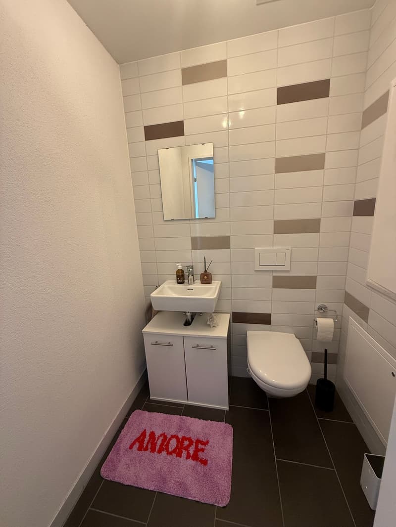 Temporary 3.5 room apartment from October 2026 to March 2027 (10)