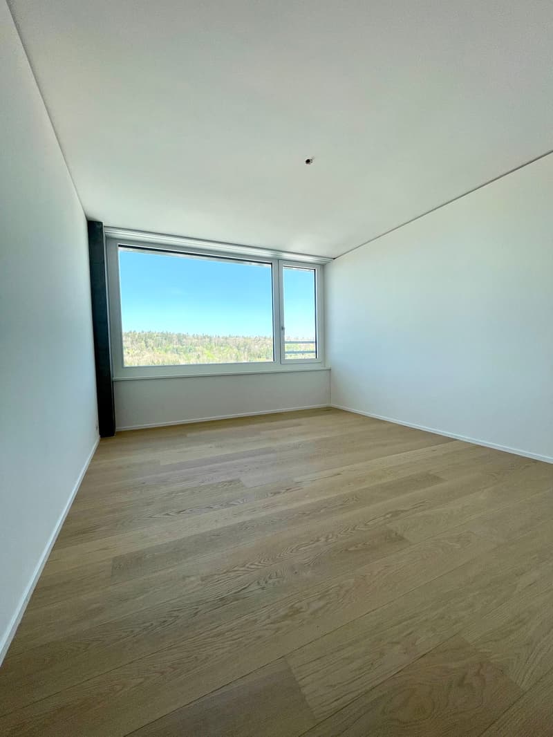 Exklusive 4.5 Zimmer Wohnung im Rhyfall Tower mit Rheinblick (9)