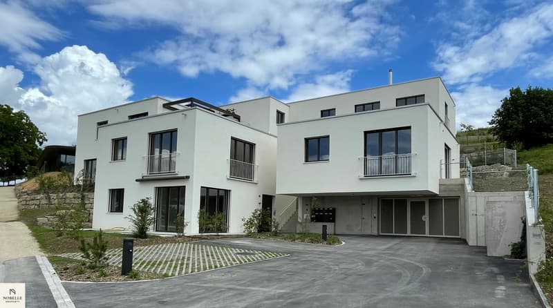 Wohnen mit Weitblick | Moderne 2.5 Zimmer Neubauwohnung mit grosser Terrasse (15)