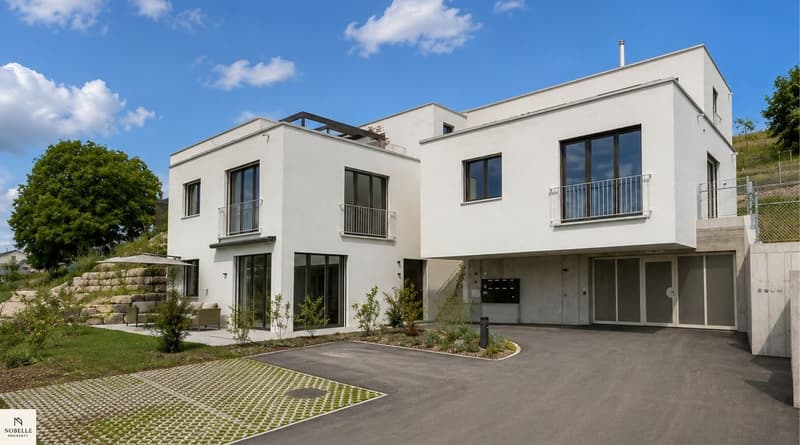 NEU: Business Apartment in Dachsen (7)