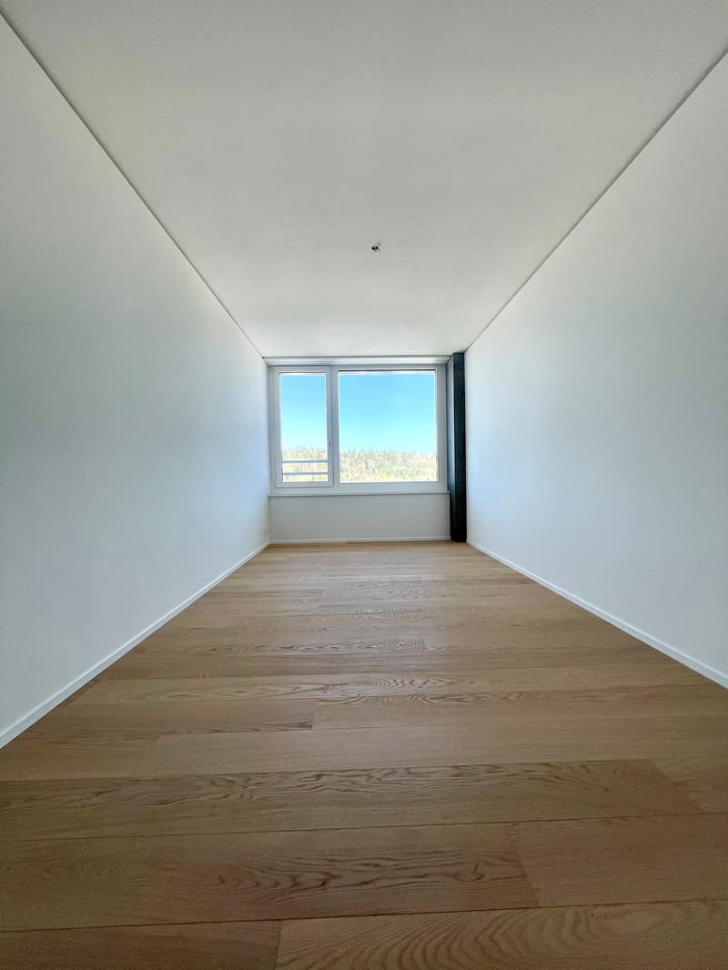 TOP: Exklusive 4.5 Zimmer Wohnung im Rhyfall Tower mit Rheinblick (8)