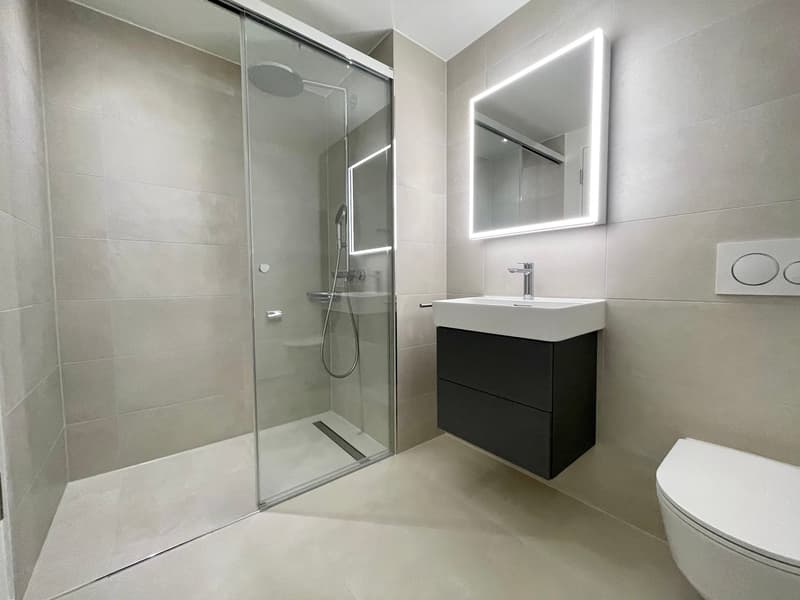 TOP: Exklusive 4.5 Zimmer Wohnung im Rhyfall Tower mit Rheinblick (11)