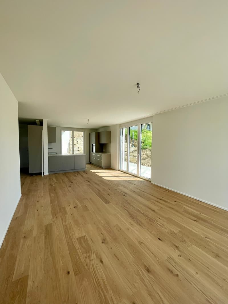 TOP: Wohnen mit Weitblick | Moderne 2.5 Zimmer Neubauwohnung mit grosser Terrasse (4)