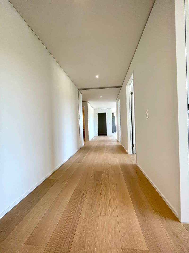 NEU: Exklusive 4.5 Zimmer Wohnung im Rhyfall Tower mit Rheinblick (8)