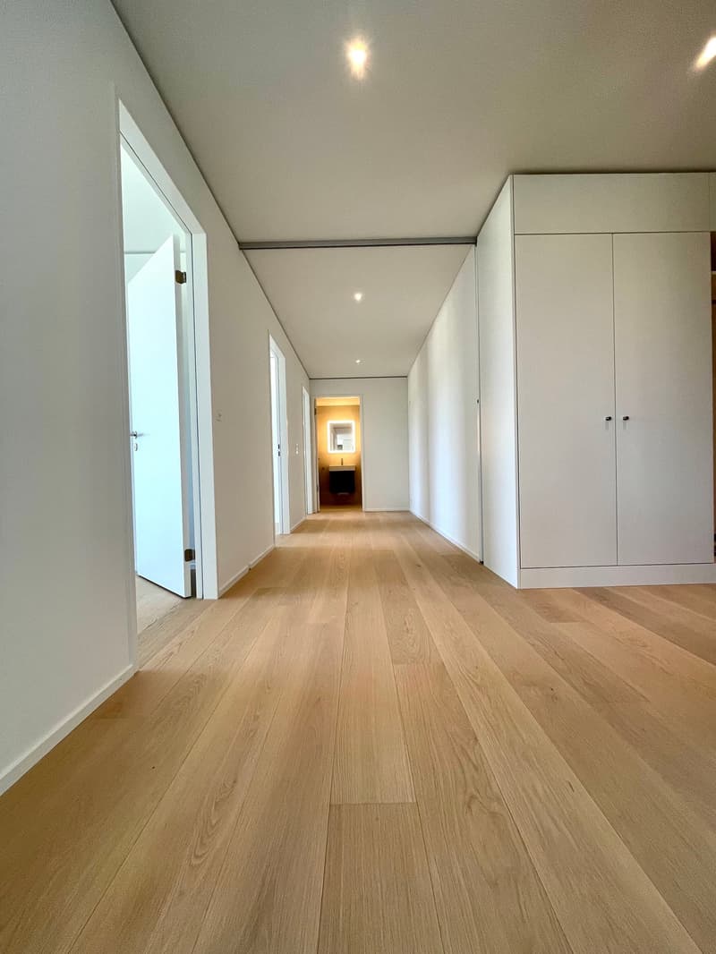 NEU: Exklusive 4.5 Zimmer Wohnung im Rhyfall Tower mit Rheinblick (7)