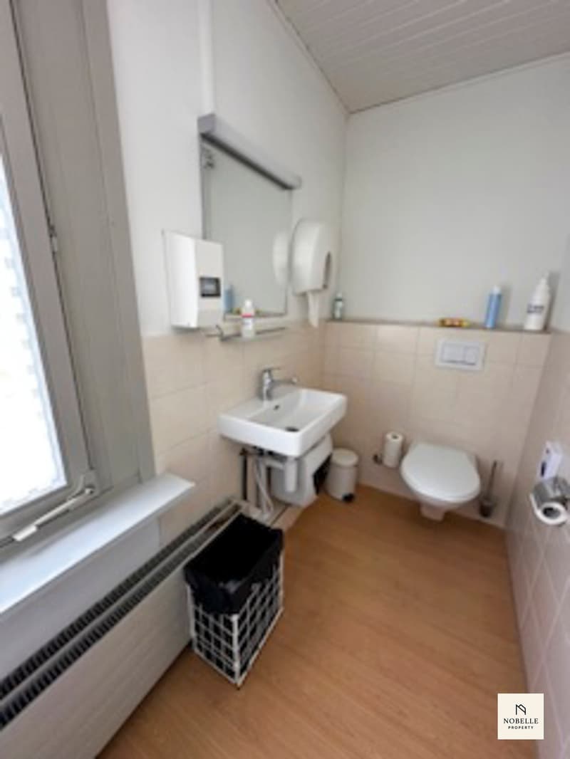 NEU: Charmantes Büro mit viel Raum zu attraktivem Mietzins (7)
