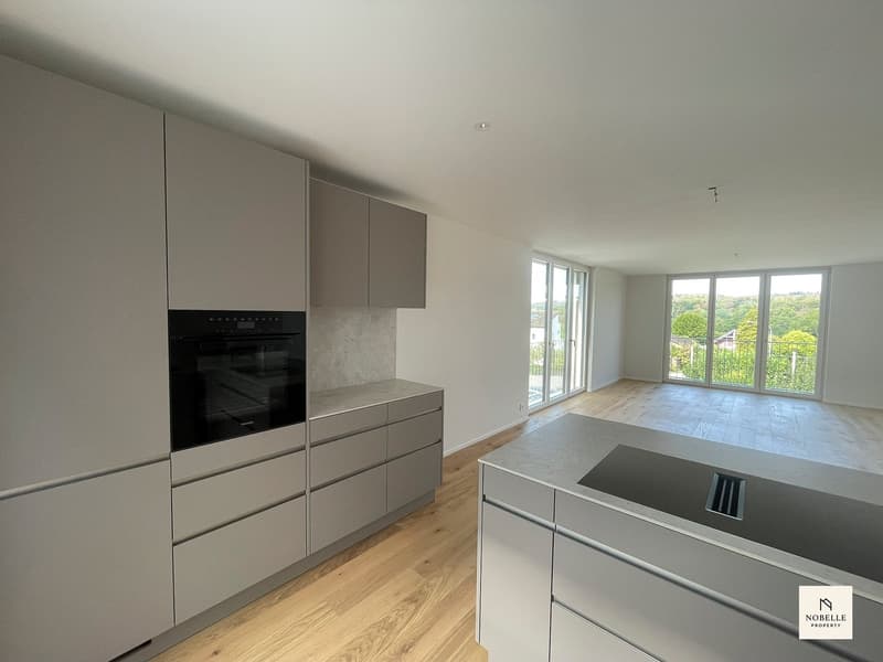 NEU: Moderne 2.5-Zimmer-Wohnung – Neubau, sofort verfügbar (3)