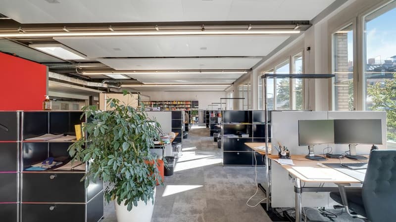 Single-tenant Opportunity in a Historic Building (8)
