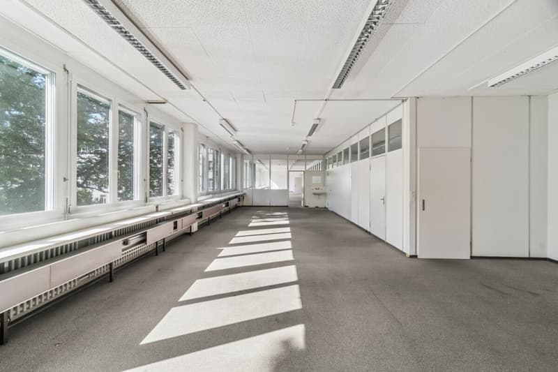 Vitus Area - Inspiring Location for Your Business (6)