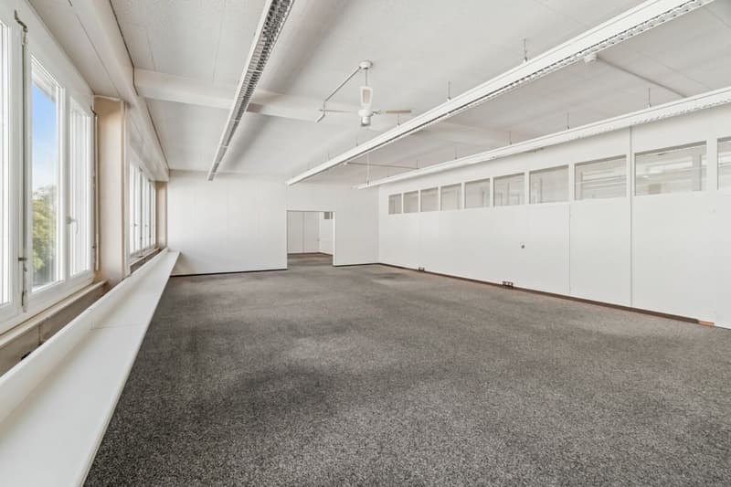 Vitus Area - More Space for Your Visions (5)