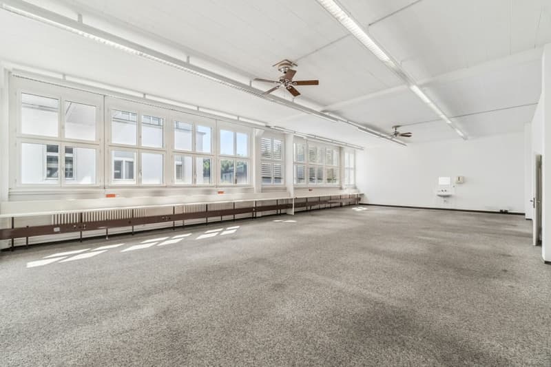 Vitus Area - Space for Your Success (7)