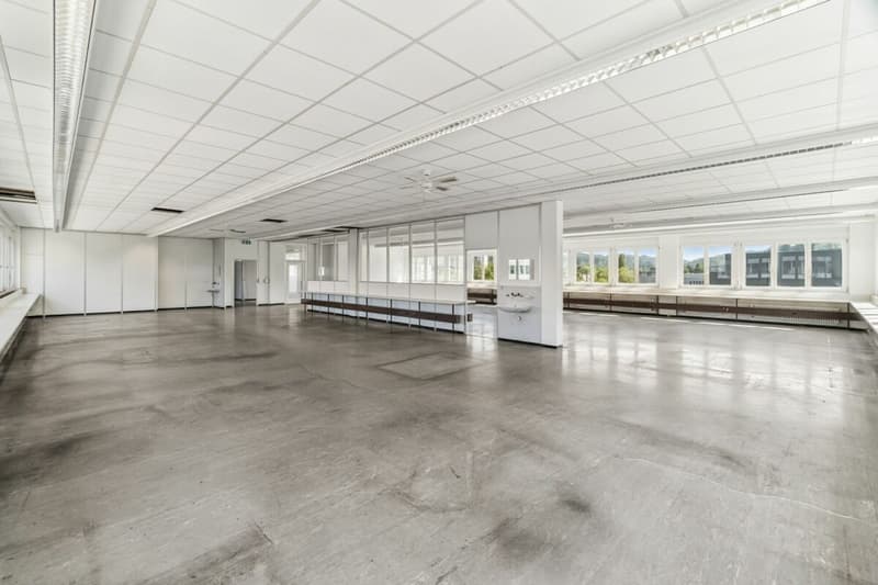 Vitus Area - The Place for Your Next Successes (3)