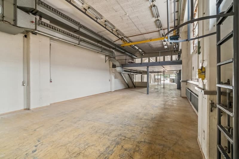 Vitus Area - Space for Production, Development, and Success (4)