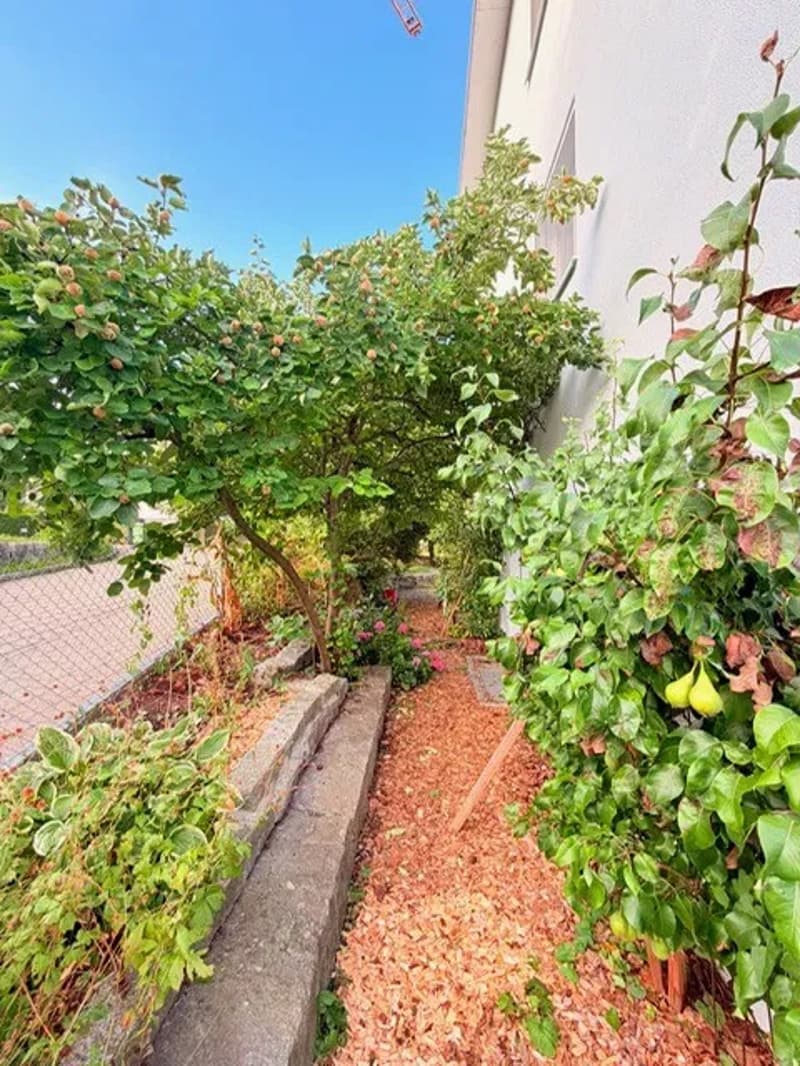 Aussergewöhnlich grosszügiges 7.5-Zimmer mit Südgarten und vielseitigem 2. Obergeschoss (8)