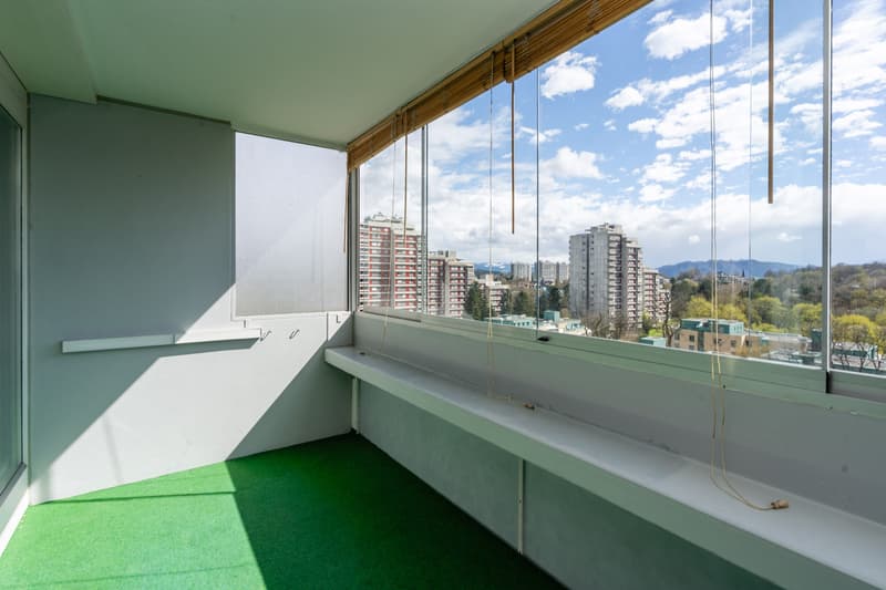 LIVING WITH A PANORAMIC VIEW IN BERN (4)