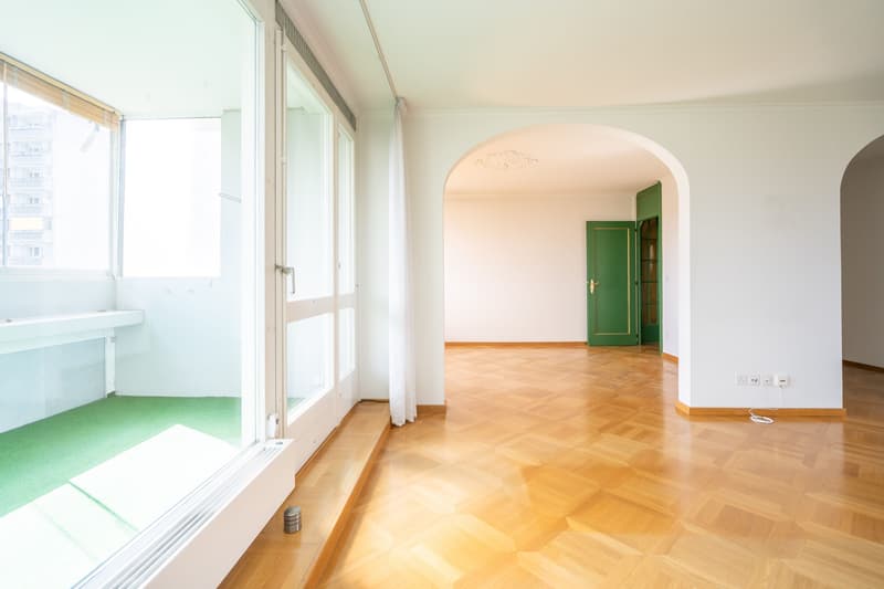 LIVING WITH A PANORAMIC VIEW IN BERN (1)