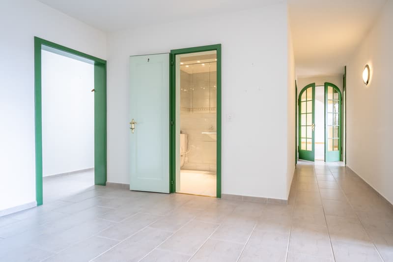 LIVING WITH A PANORAMIC VIEW IN BERN (12)