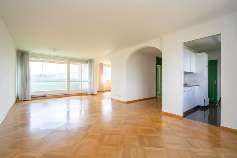 LIVING WITH A PANORAMIC VIEW IN BERN (2)