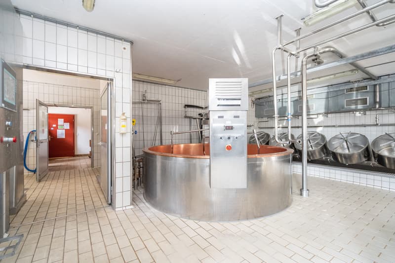 Residential and commercial property with cheese production in Riggisberg (7)