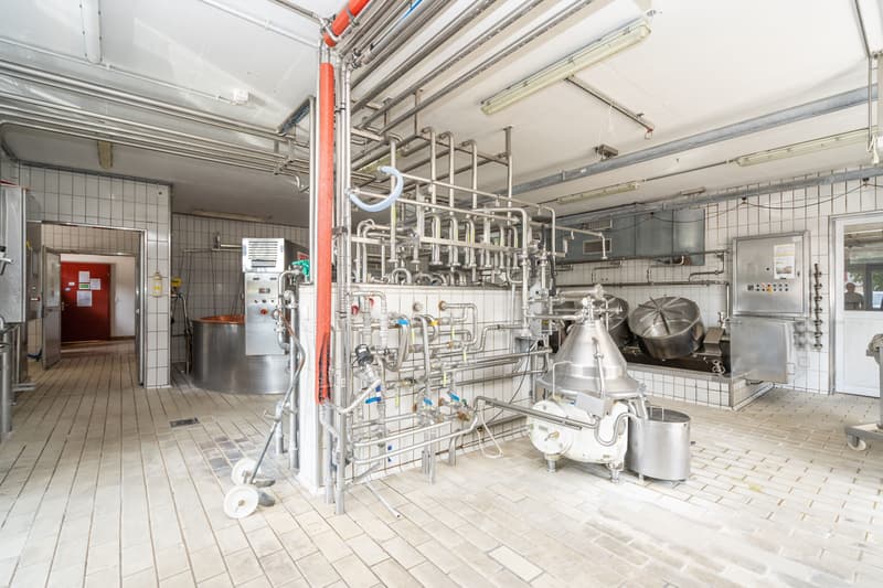 Residential and commercial property with cheese production in Riggisberg (6)