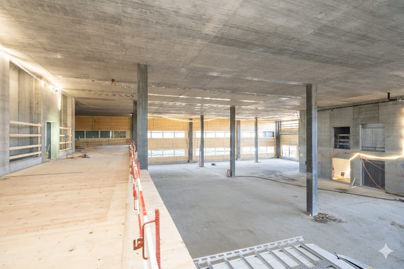 Neubau Gewerbepark NEUHUUS - attraktive Gewerbehalle mit 7.8m Deckenhöhe (1)