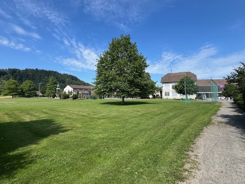 Wohnen am Bach im idyllischen Hendschiken mit guter Anbindung nach Lenzburg, Aarau und Zürich (21)